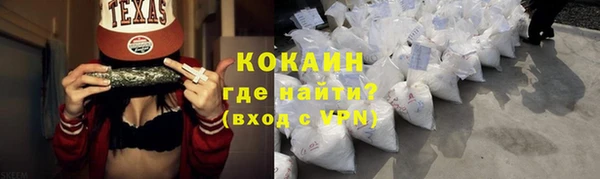 твердый Горняк