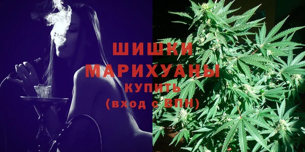 мдпв Вязьма
