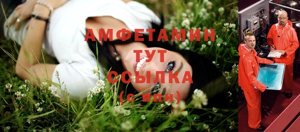 твердый Горняк