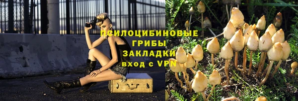 твердый Горняк