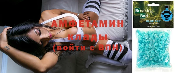мдпв Вязьма