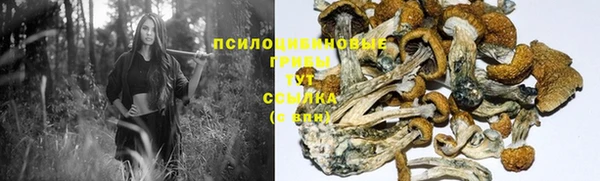 ГАЛЛЮЦИНОГЕННЫЕ ГРИБЫ Горнозаводск